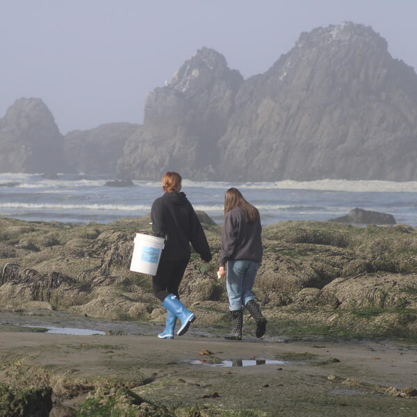 Two students in rainboots carry a bucket along the Oregon Coast